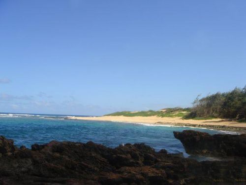 考愛(ài)島:太平洋上的蜜月天堂圖片